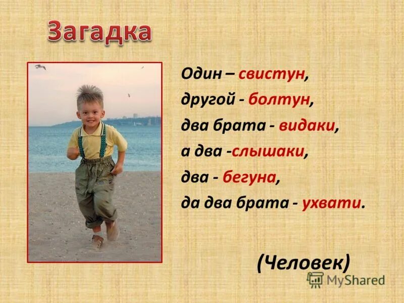 Сестра и брат сложили и купили билет. Два брата ответ. Рассказ два братца. Сказка льва толстого 2 брата. Стих про брата.