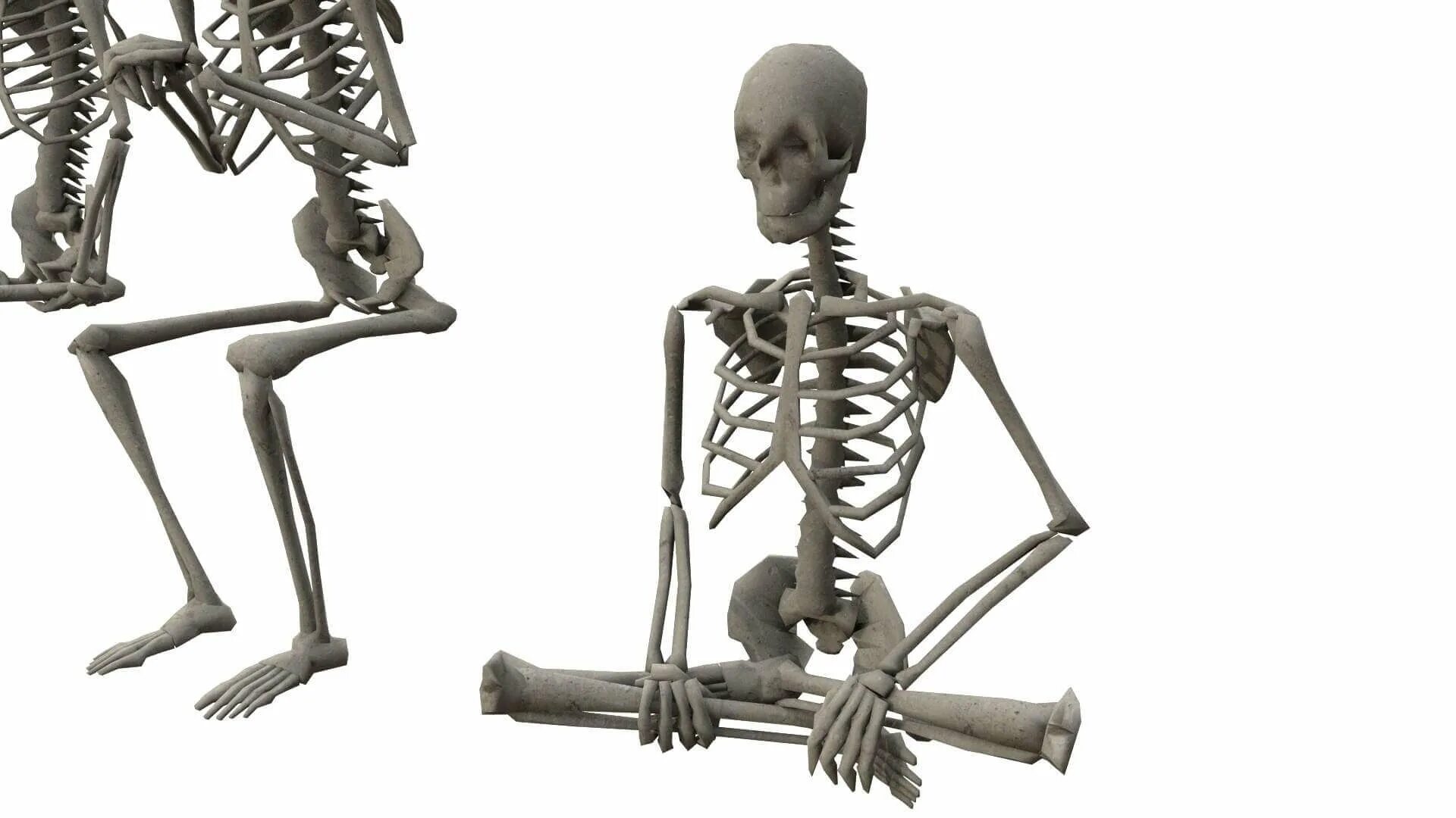 Скелет здорового человека. 3 Скелета. Скелет в сидячем положении. Скелет прямо.