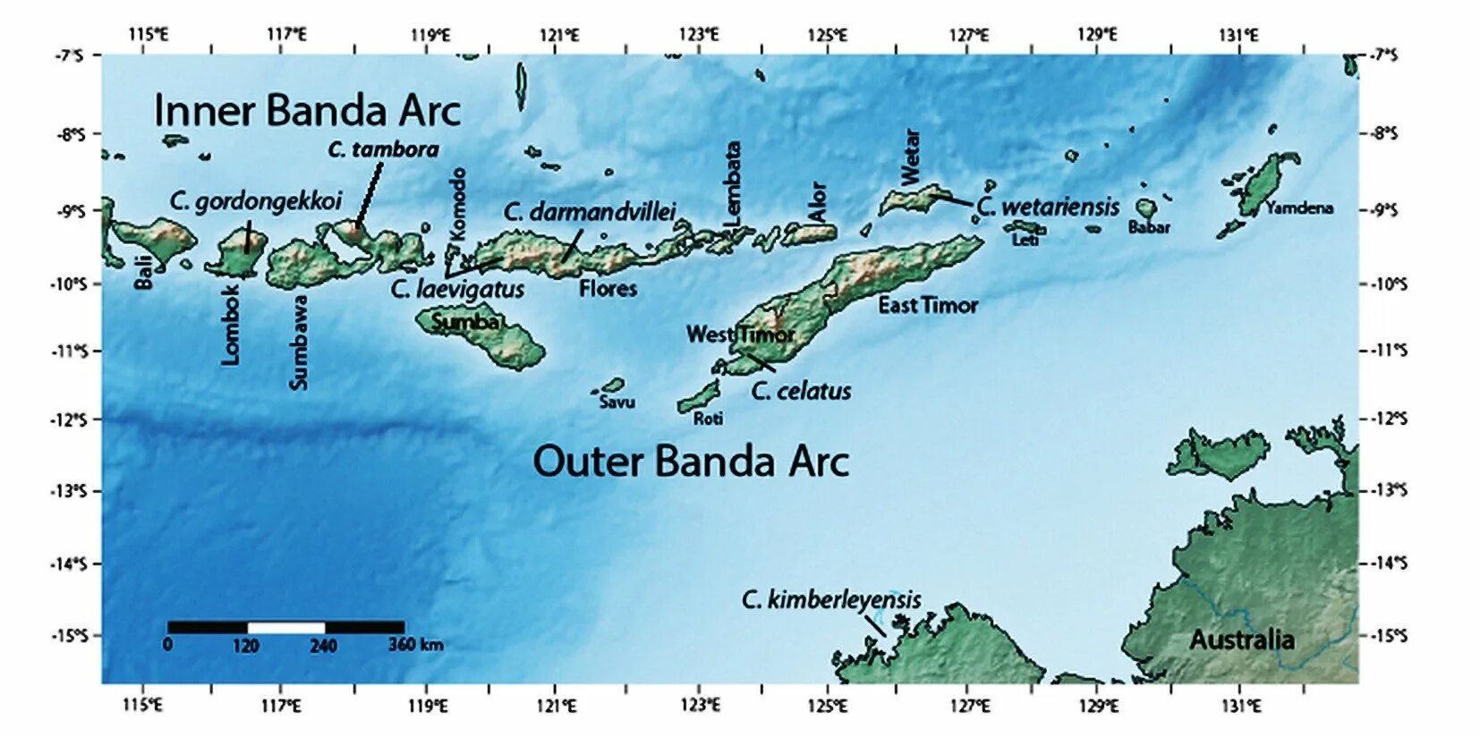 Архипелаг Зондские острова на карте. Большие и малые Зондские острова на карте. Малые Зондские острова на карте. Малые Зондские архипелаг на карте.