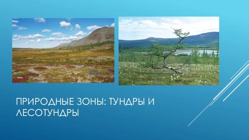 Расселение лесотундры. Природные зоны тундры и лесотундры. Природные зоны Финляндии. Лесотундра презентация. Природные зоны Швеции.