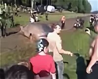 Какие разборки