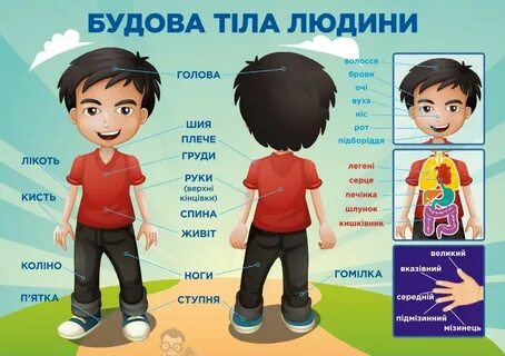 Тіло яке