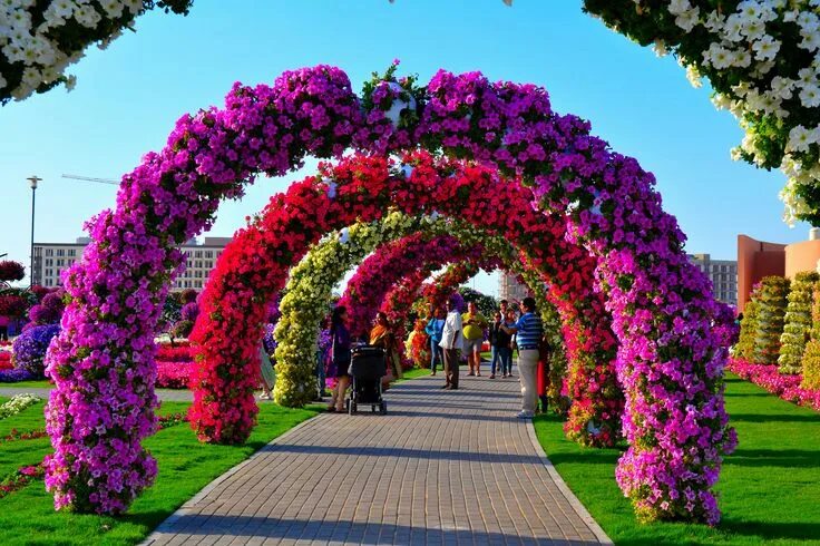 Цветы ведь тоже позитив.Dubai Miracle Garden - Сообщество "Позитивов ☺ зы" на DR
