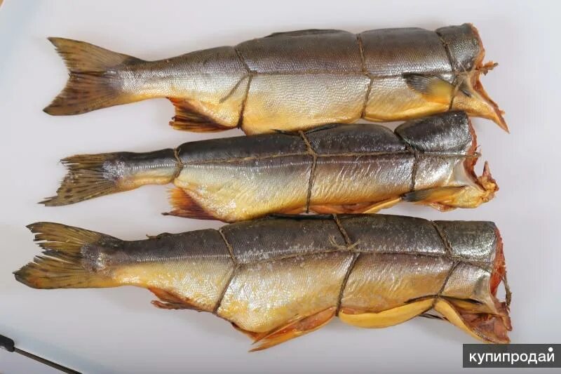 золотая рыбка ювелирная. памятник рыбке в самаре. рыба самара памятник. самара. золотой магазин самара.