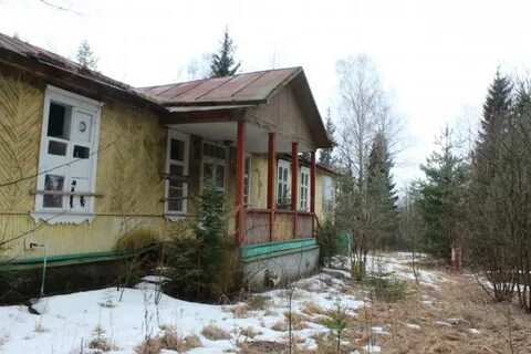 Гагаринец детский