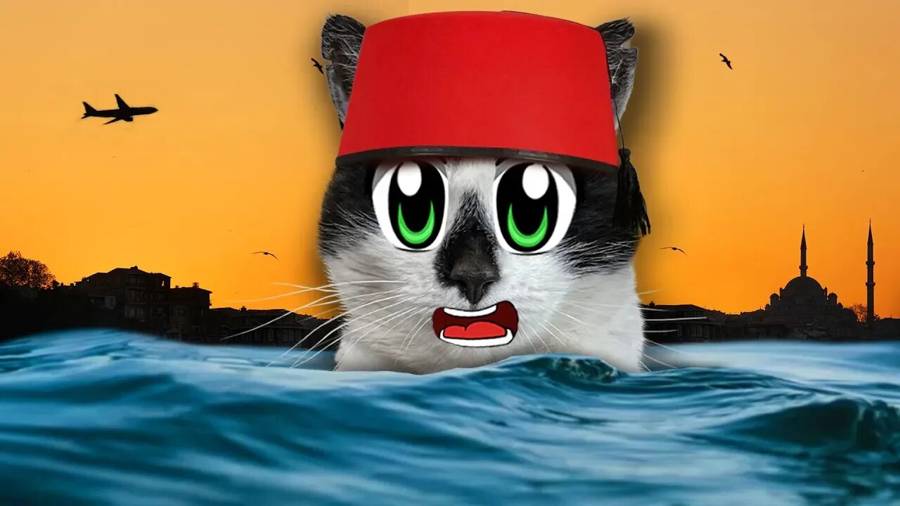А ну ка давайка леди баф. Анука давайка мурка. мурка с канала анука давайка. кот малыш анука давайка. котик летом.