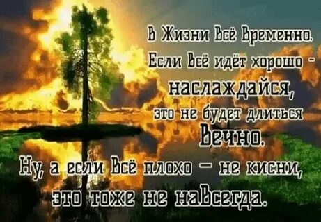Жизнь шла легко