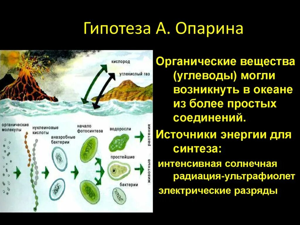 Теория жизни Опарина. Теория зарождения жизни на земле Опарина. Теория возникновения жизни Опарина. Биохимическая Эволюция Опарина.