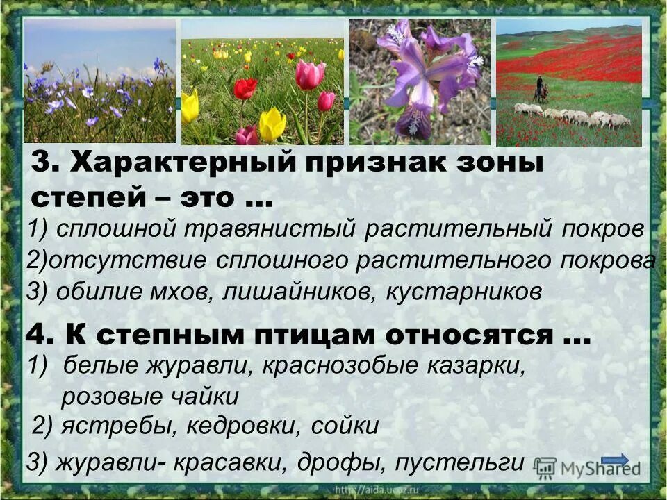 В какой природной зоне преобладает травянистая растительность. Характерный признак зоны степей это. Хорктерный призрак зоны степей.