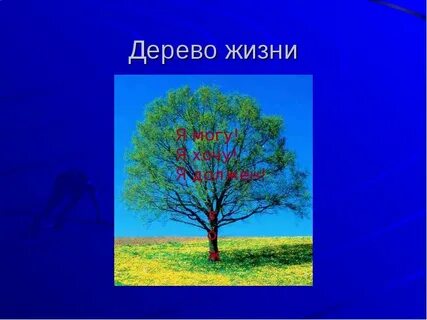 Деревья и их жизнь
