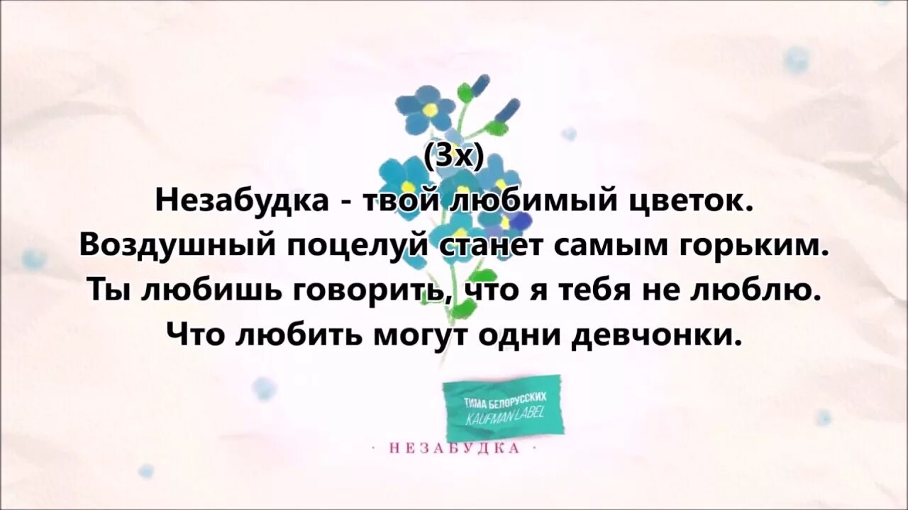 Минус песни незабудка. Незабудка текст. Незабудка Тима белорусских текст. Тим белорусских Незабудка текст. Незабудка твой любимый цветок текст.