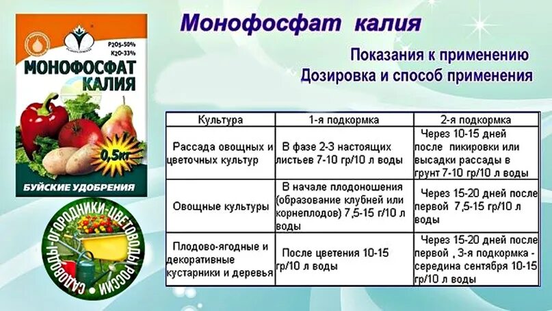 Подкормка рассады монофосфатом калия после пикировки томатов. Монофосфат калия. Монофосфат калия удобрение. Монофосфат калия для комнатных растений. Монофосфат калия для петуний.