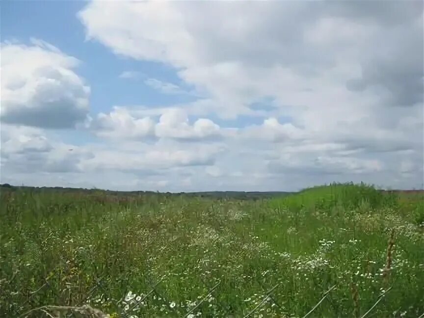 Авито жуков калужская. Лопатинка Калужская область. Лопатинка Жуковский район. Жуков мкр.Протва Калужская область Жуковский район. Карьер Жуков Калужской области.