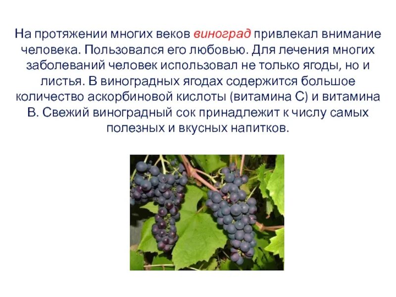 Виноград содержит