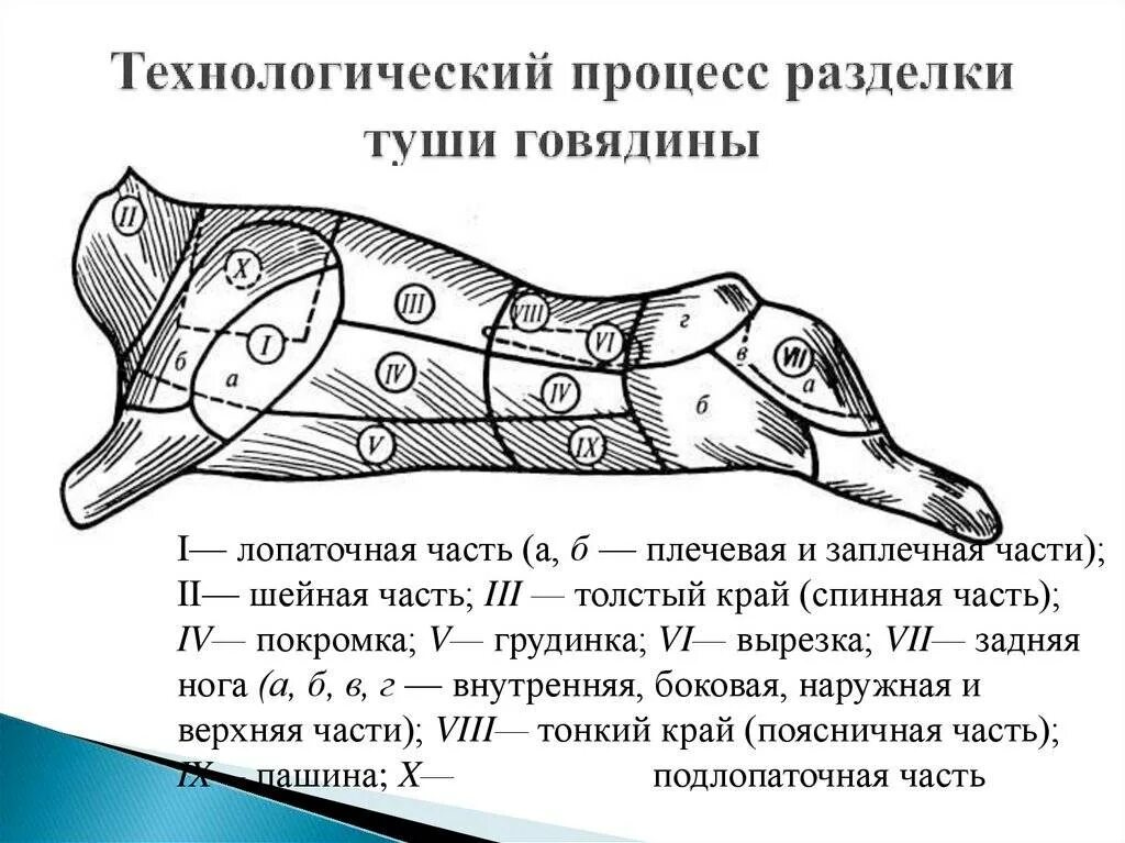 Говяжья разделка