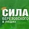 Уральские электрические сети г березовский