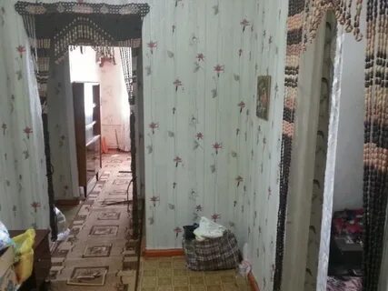 Авито приютово