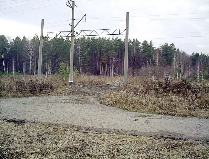 Понятие царская дорога. Царская дорога. Царская дорога в Калитино. Хреновое дорога Царская дорога. Императорская дорога.