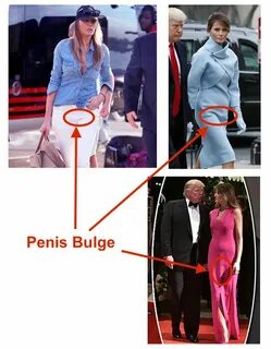 Melania Trump Penis Bulge.