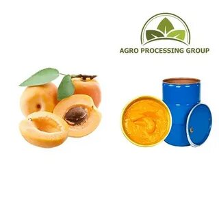 Processing group