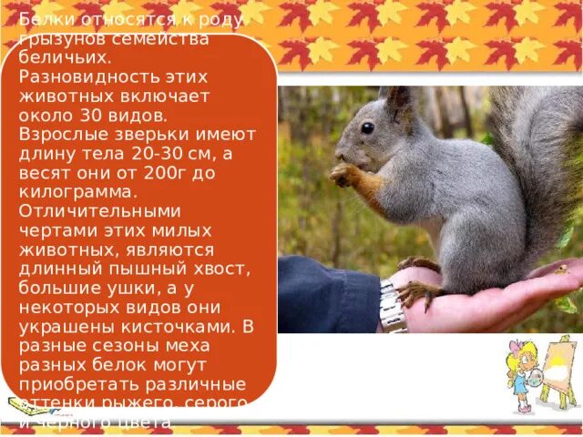 Белки относятся к уровню. Белки относятся к уровню