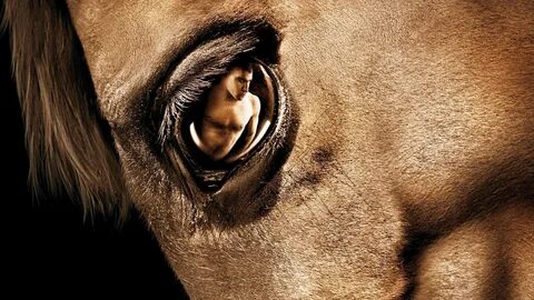 2men 1 horse