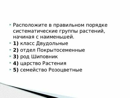 Самая примитивная группа растений
