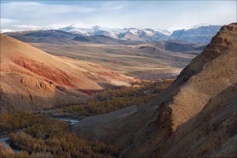 Республика алтай монголия граница