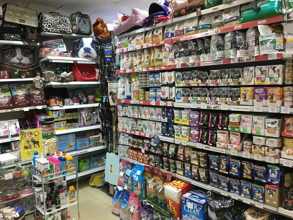 зоомагазин внутри. зоомагазин животных. зоомагазин. интерьер зоомагазина. виде зоомагазин.