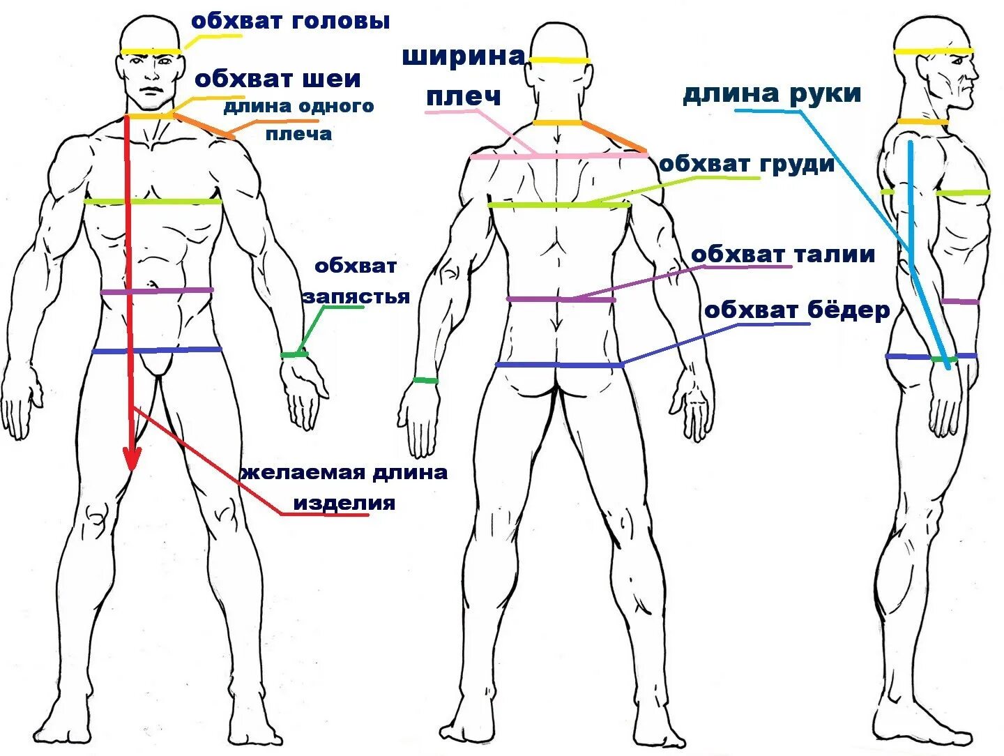 Измерение окружности тела. Как снять мерки с мужчины. Как снять мерки с мужчины для одежды. Снятие мерок с мужской фигуры для рубашки. Как снять мерки для пошива одежды мужской.