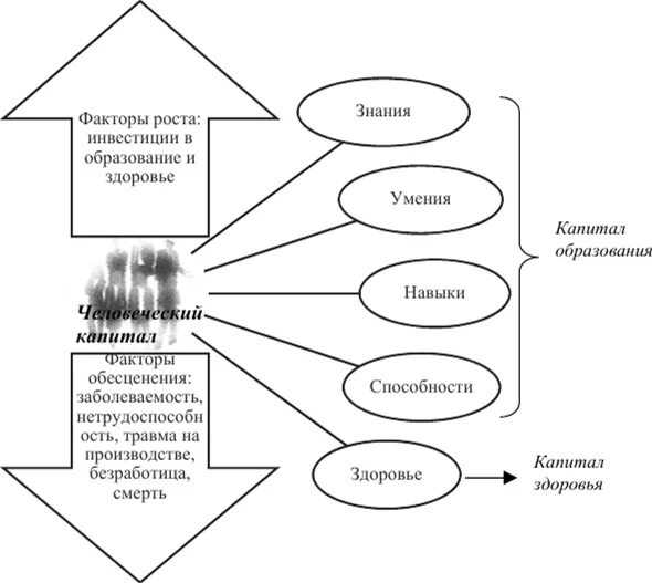 Человеческий капитал здоровье. Капитал здоровья пример. Инвестирование в человеческий капитал. Фактор риска инвестиций в человеческий капитал.