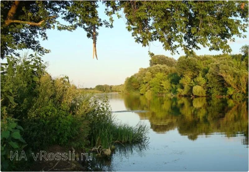 Река сейм на карте. Река сейм курская. Река сейм курск. Река сейм курская область описание. Река сейм курская область описание.