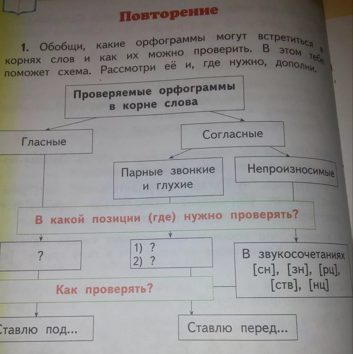 Схемы орфограмм. Орфограмма в слове. Проверяемые орфограммы. Проверяемые орфограммы в корне слова.