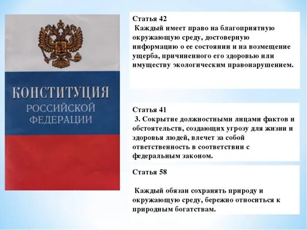 Статья 42. Ст 42 Конституции РФ. Статья 42 Конституции РФ. Статьи Конституции об экологии. Статью 58 конституции рф