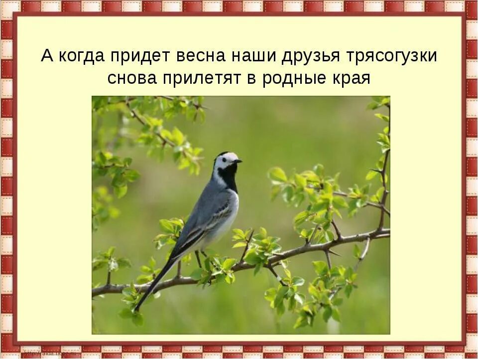 Плюсы и минусы ипотеки. Весенние демотиваторы. Птицы прощались с родным домиком. Снова прилетят. Мартовский кот.