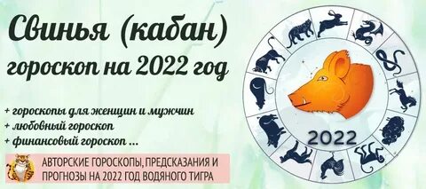 Когда был год свиньи последний раз