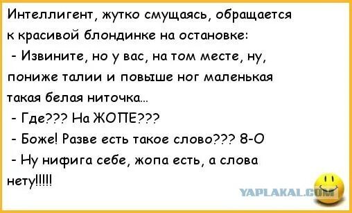 Был напуган анекдот. Был напуган анекдот