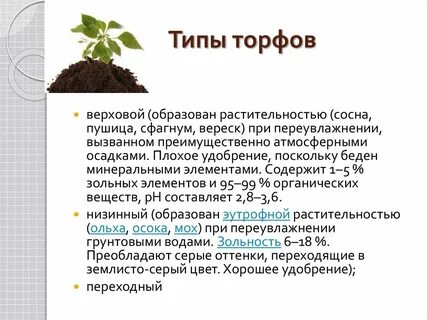 Где образуется торф