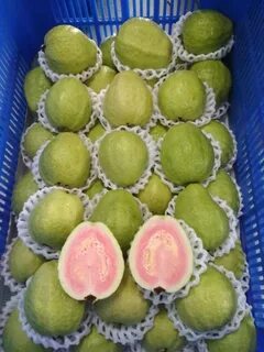 Elite fruits