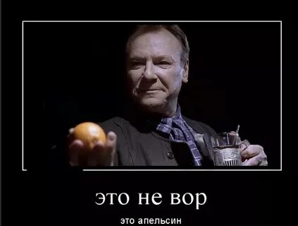 Поймал воровку апельсинов