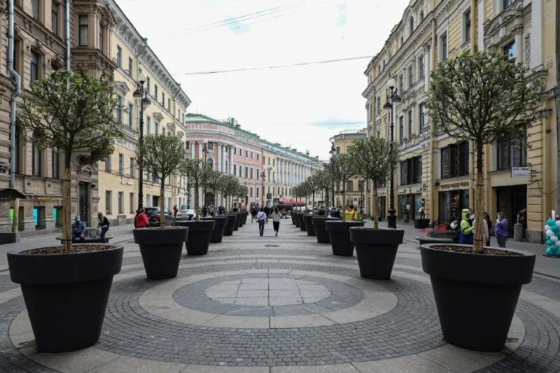 Малая садовая 3 санкт-петербург. Малая садовая улица, дом 3/54. Малая садовая 3 санкт-петербург. Малая садовая улица санкт-петербург. Малая садовая ул 3 санкт-петербург.