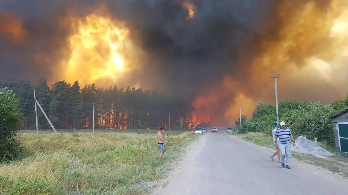 31 августа 2010. Село Черкасское Павловского района Воронежской области. Пожар в Николаевке Воронежской области Павловского района. Пожар в Воронежской области в лесу. Пожар в селе Николаевка Воронежской области.