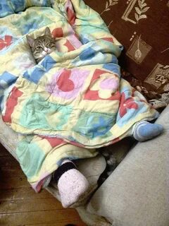 Под одеялом тепло