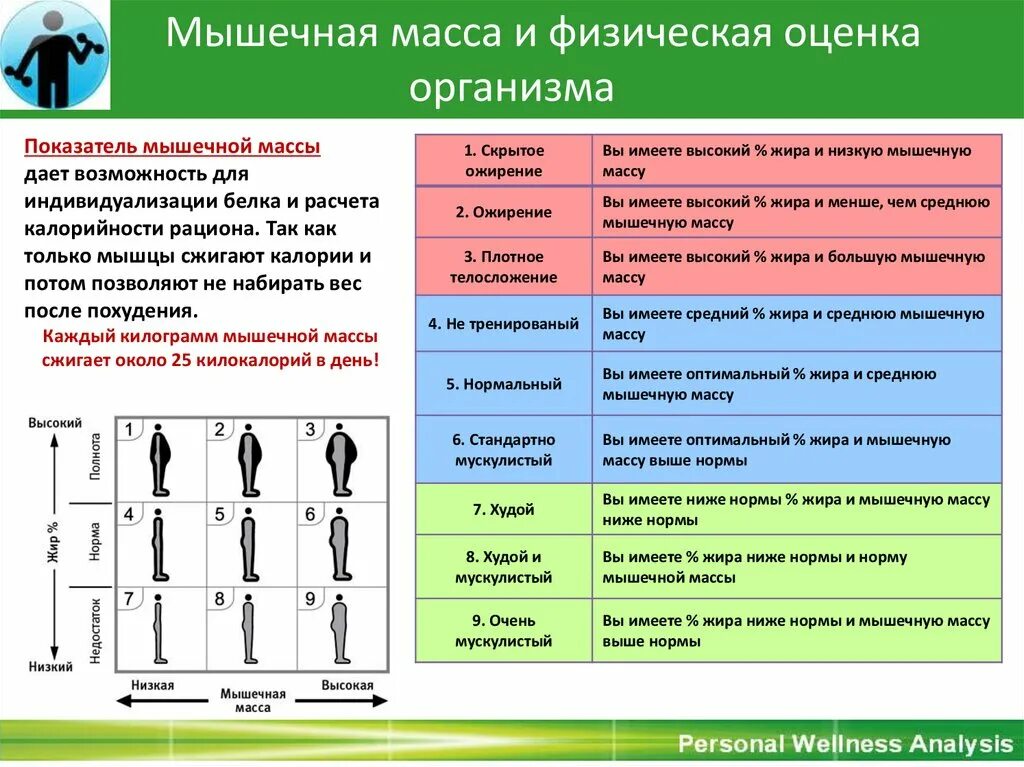 Норма мышц в теле. Мышечная масса и физическая оценка организма. Норма мышечной массы таблица. Мышечная масса норма. Мышечная масса тела норма.