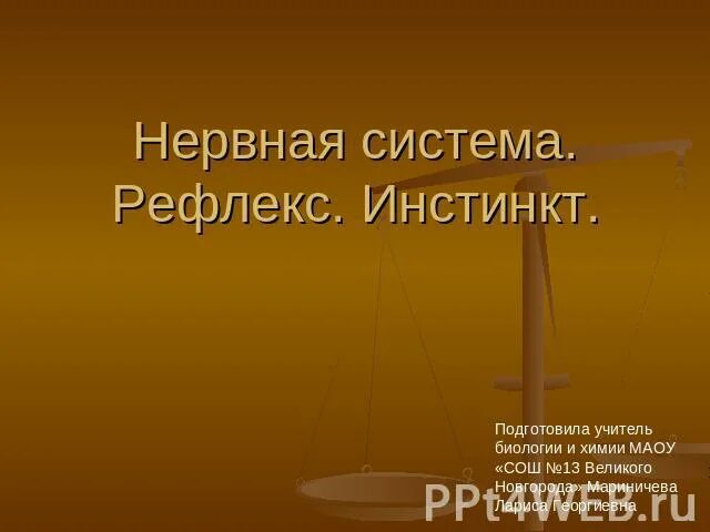 Инстинкт 7 класс. Нервная система. Нервная система рефлекс инстинкт. Нервная система животных рефлекс инстинкт. Кроссворд нервная система рефлекс инстинкт.