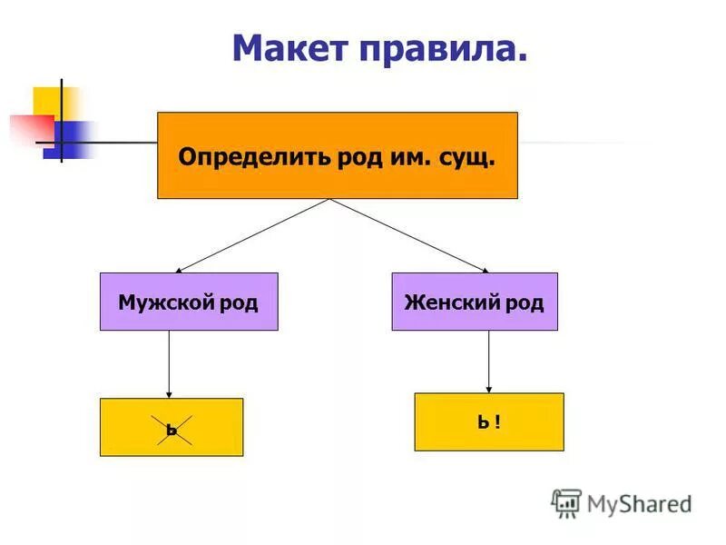 Школа мужской род