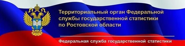 Ростовская статистика сайт. Федеральная служба государственной статистики. Федеральная служба государственной статистики логотип. Ростовстат. Сайт Ростовстата.