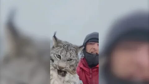 Канадский фермер в нижнем новгороде