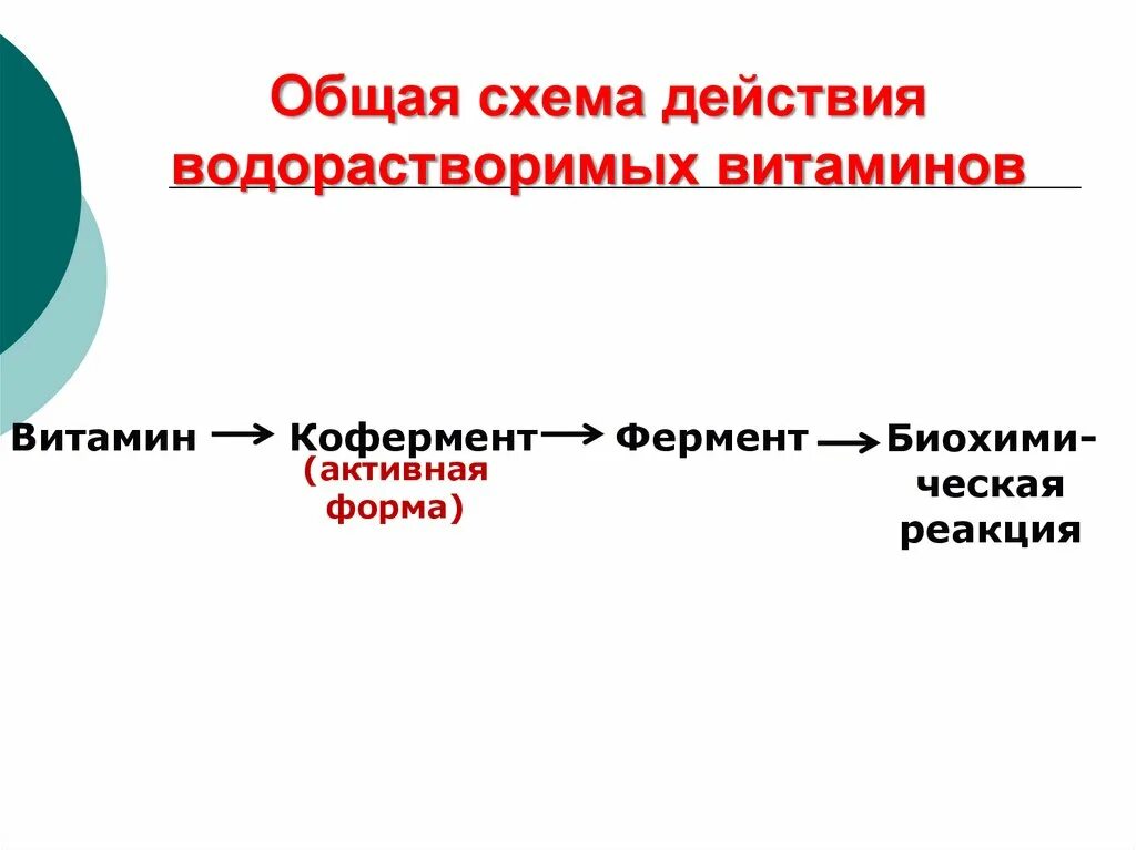 Препараты водорастворимых витаминов. Механизм действия витаминов схема. Механизм действия водорастворимых витаминов. Препараты водорастворимых витаминов механизм действия. Схема действия водорастворимых витаминов.