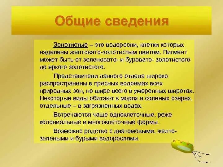 Золотистый значение. Золотистые водоросли представители. Отдел золотистые водоросли строение. Золотистые водоросли сообщение. Золотистые водоросли пигменты.